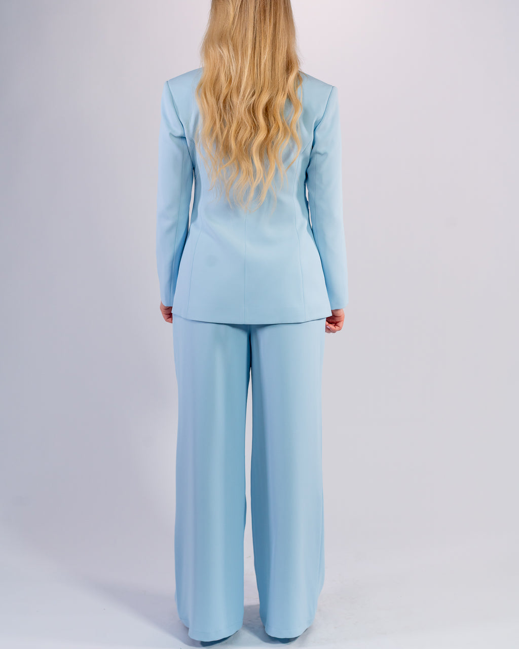 Sky Blue Shawl Collar & Single Button Palazzo Suit