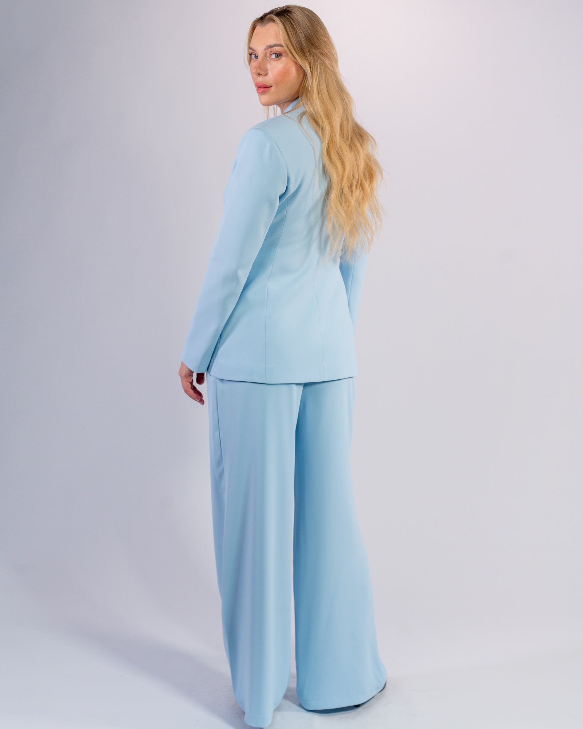 Sky Blue Shawl Collar & Single Button Palazzo Suit